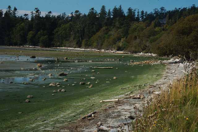 False Bay